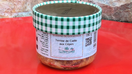 Terrine de caille aux cèpes